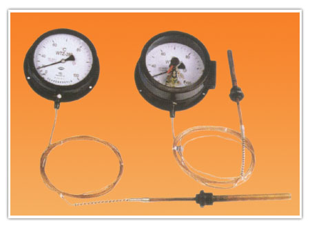 WTZ WTQ壓(yā)力式溫度計